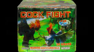 COCK FIGHT